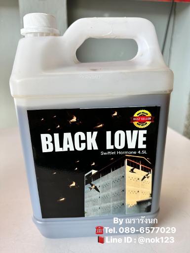 BLACK LOVE&nbsp; ฮอร์โมนปรับสภาพตึกใหม่ ดับกลิ่นปูน