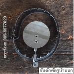 X-490 กับดักศัตรูบ้านนกแอ่น