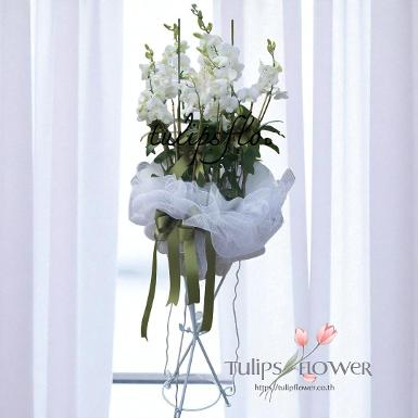 TW-10008 หรีดต้นกล้วยไม้