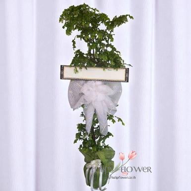 TW-10002 พวงหรีดต้นโมก